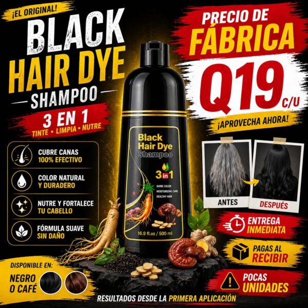 Shampoo cubre canas / Shampo tinte